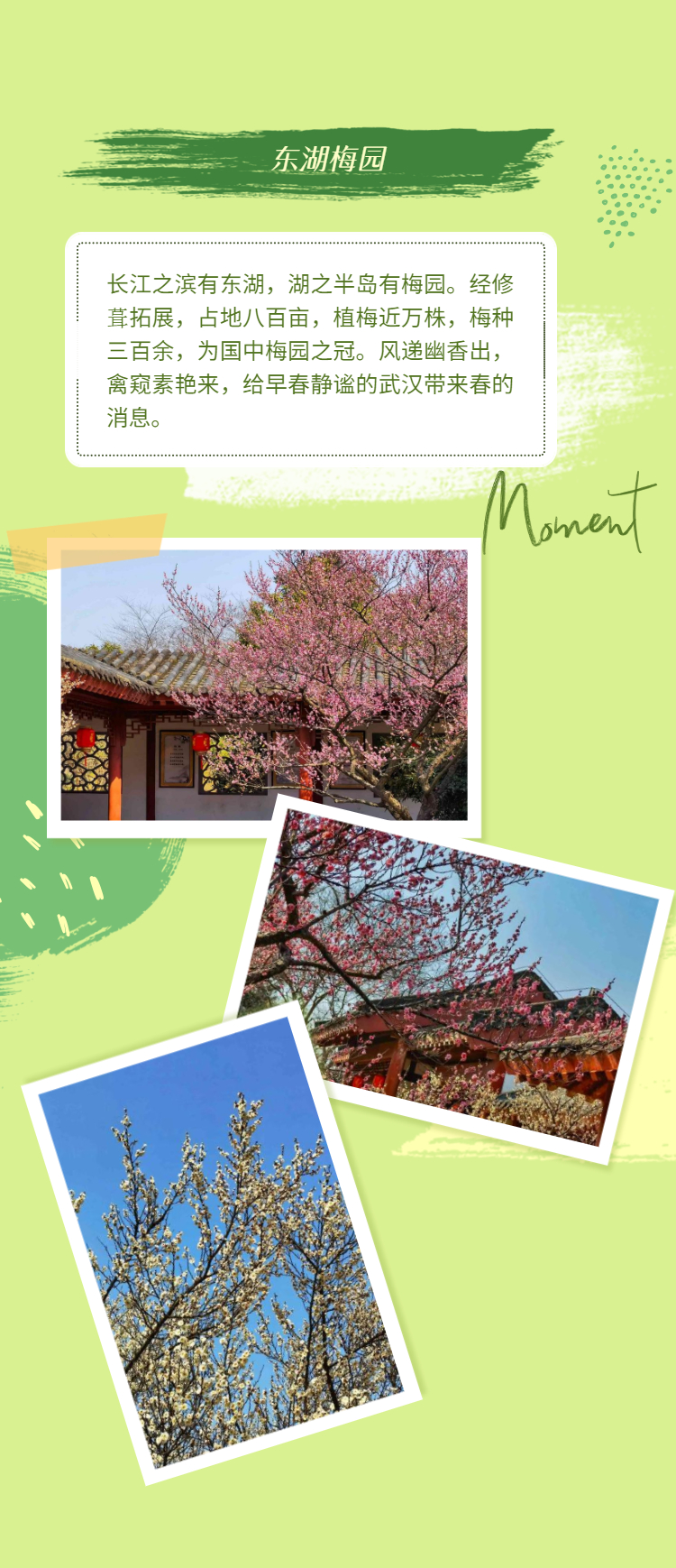H5长页春日踏青春游活动详情-2